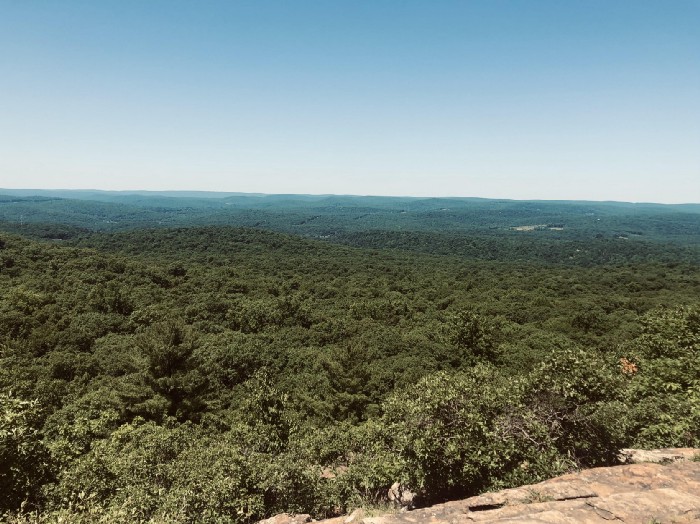 On top of boulders, a green sea hovers